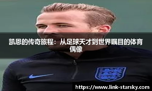 星空体育官网